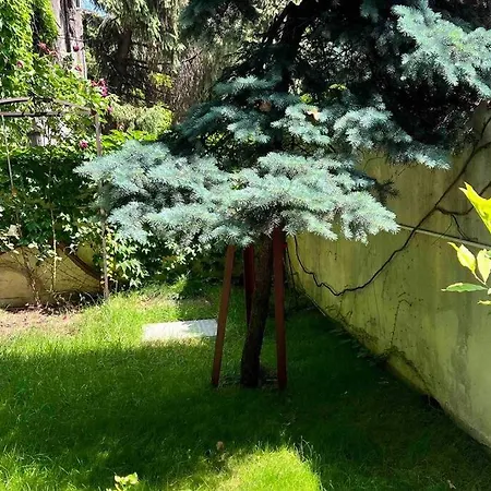 Appartement Loft Floreasca