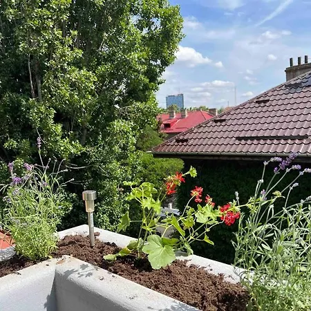 Loft Floreasca