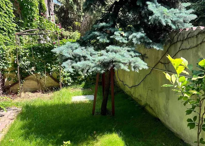 Apartmán Loft Floreasca