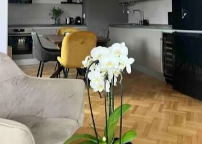 Loft Floreasca Bukurešť